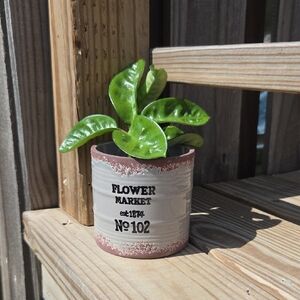 Modern Flower Market Bucket Glazed Ceramic Pottery 3.5" Planter